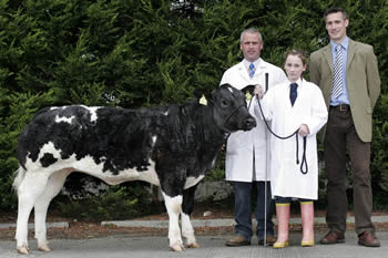 The Reserve Female Champion at the NI Belgian Blue Club Calf Show was Lukeroyal Angelica owned by Mel and Dianne Lucas, Antrim. Exhibiting the winner is Emily Lucas while father Mel and Philip Halhead, Norbreck Genetics, Judge and Sponsor look on.